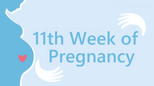 11 Weeks Pregnant Symptoms and Signs - Pregnancy Week by Week