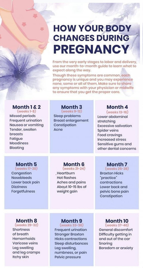 how-to-know-if-you-are-pregnant-pregnancy-week-by-week