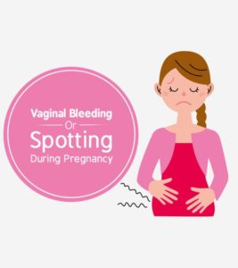 Spotting During Pregnancy - Pregnancy Week by Week